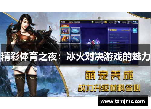 精彩体育之夜：冰火对决游戏的魅力