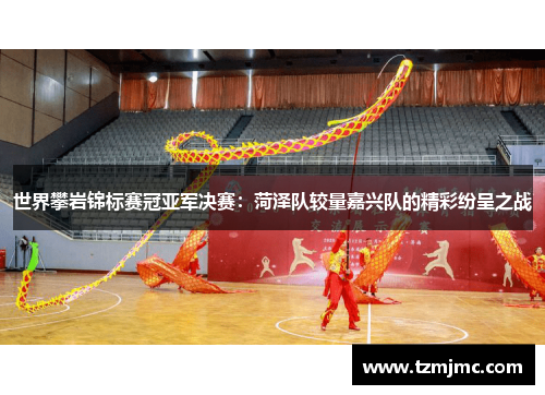 世界攀岩锦标赛冠亚军决赛：菏泽队较量嘉兴队的精彩纷呈之战