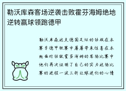 勒沃库森客场逆袭击败霍芬海姆绝地逆转赢球领跑德甲